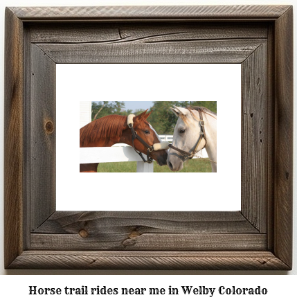 horse trail rides near me in Welby, Colorado